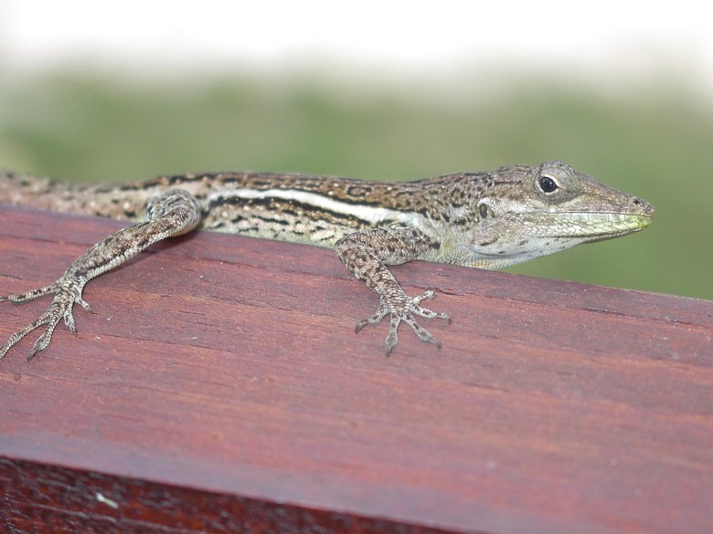 Image 15 of 24  -  87 kB