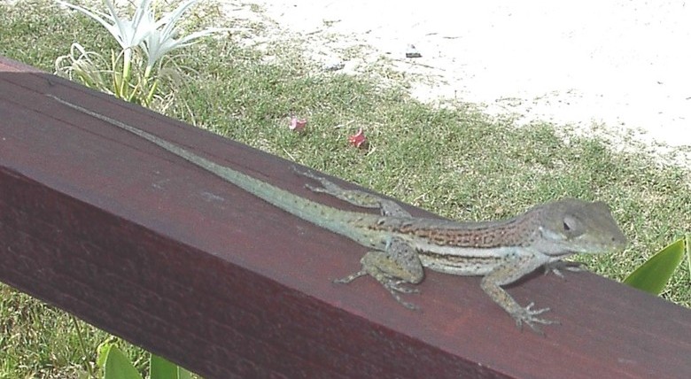 Image 16 of 24  -  101 kB