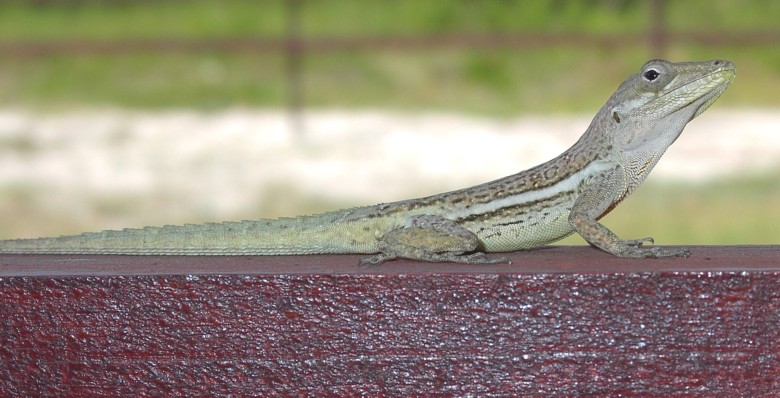 Image 21 of 24  -  88 kB