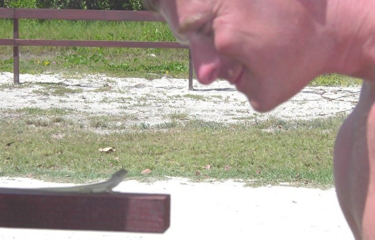 Image 23 of 24  -  102 kB